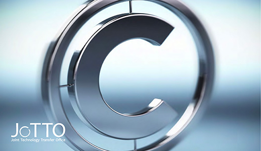 Image for Software protection