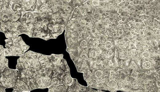 Image for Tabula Cauloniensis