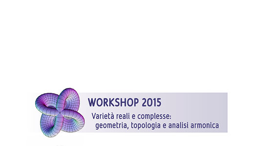 Image for Manifolds - Workshop 2015