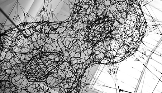 Image for Globalization and citizens' rights