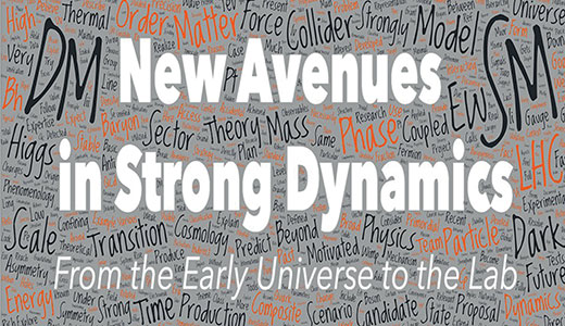 Image for New Avenues in Strong Dynamics
