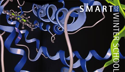 Image for Smart Winter School