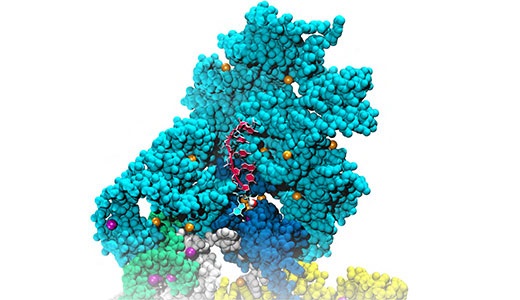 Image for Structural and Functional Annotation of Bioinorganic Systems: Perspectives and Challenges from Theory and Experiments