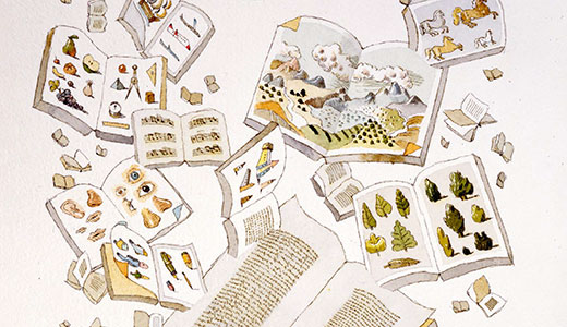 Image for PISA E ALTROVE