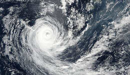 Image for CLIMATE PREDICTABILITY, STOCHASTIC MODELLING  AND INEXACT COMPUTING
