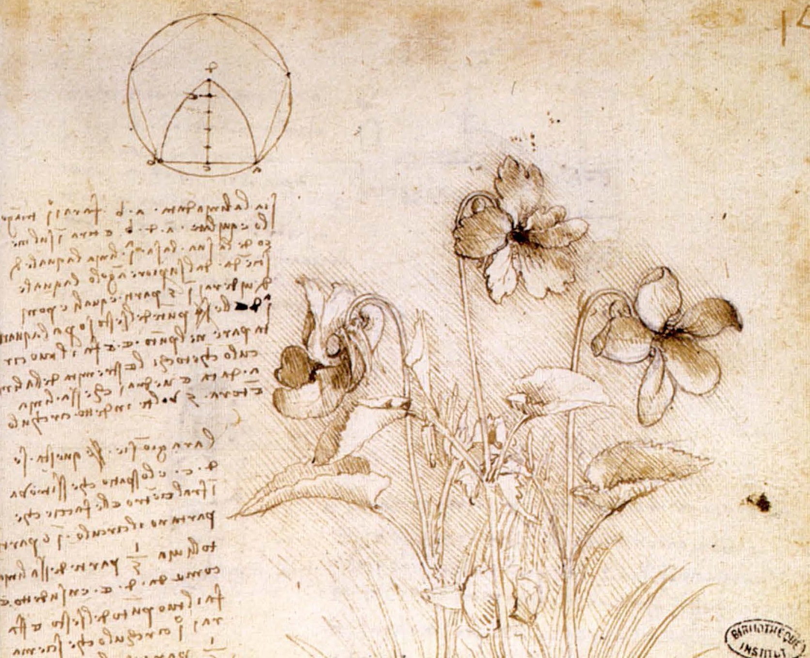 Image for concordi lumine maior