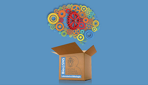 Image for OUT OF THE BOX RESEARCH ON NEURODEGENERATION