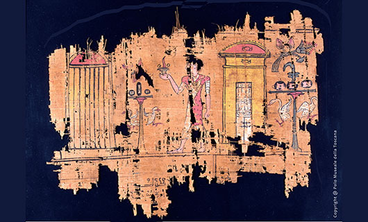 Image for A NETWORK FOR TEBTYNIS