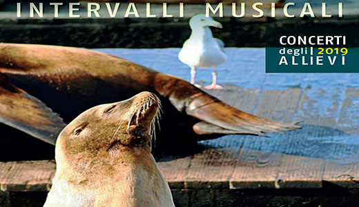 Image for Intervalli musicali