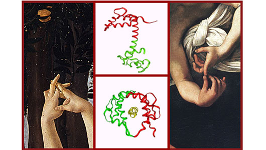 Image for BIOINFORMATICS