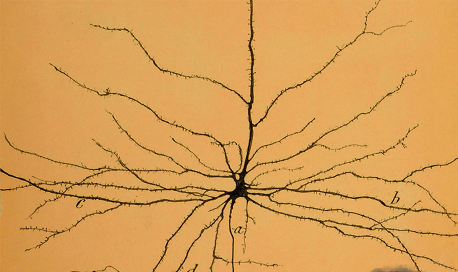 Image for OF CHANGING  BRAINS