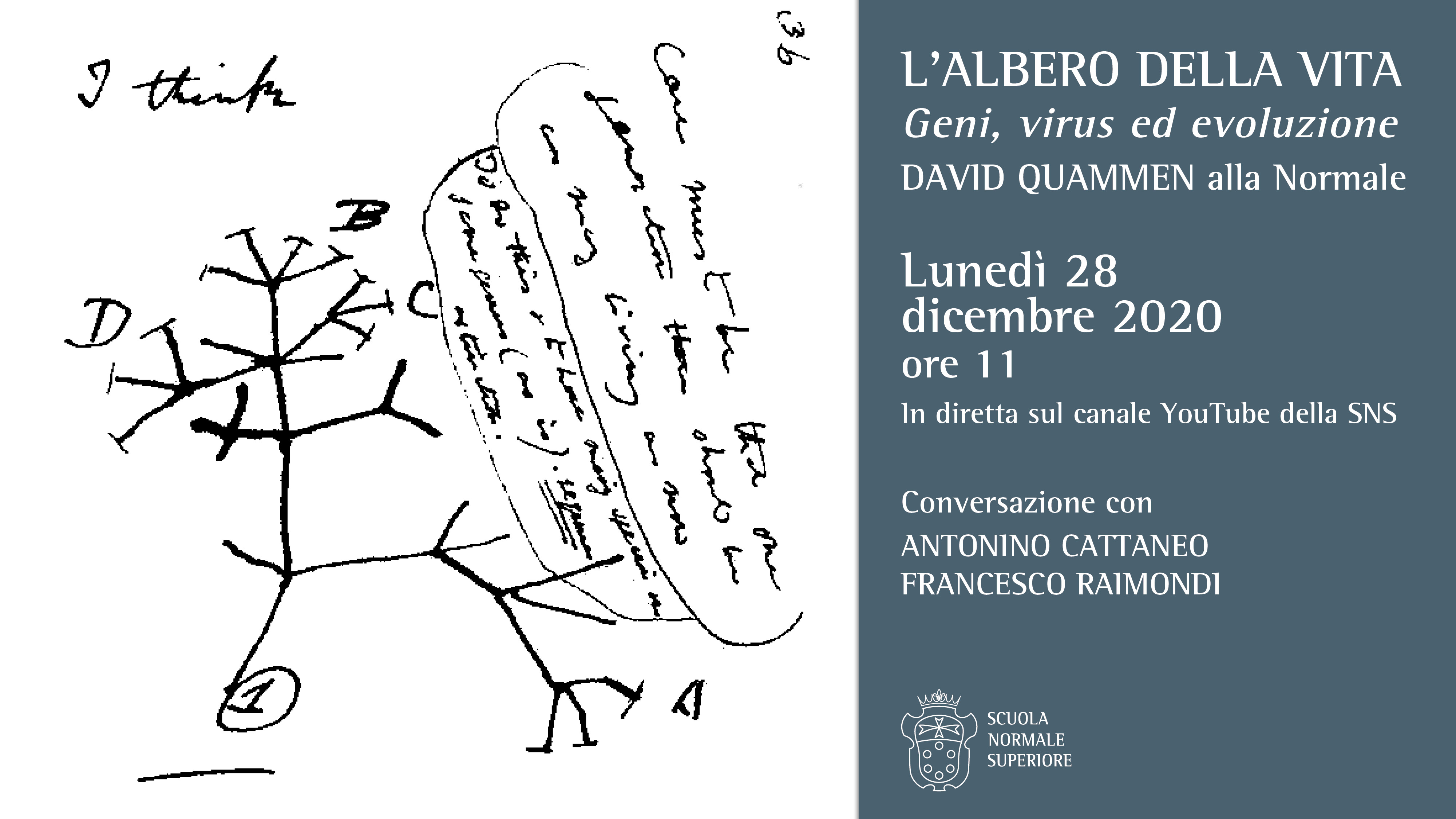 Image for L'albero della vita. Geni, virus ed evoluzione