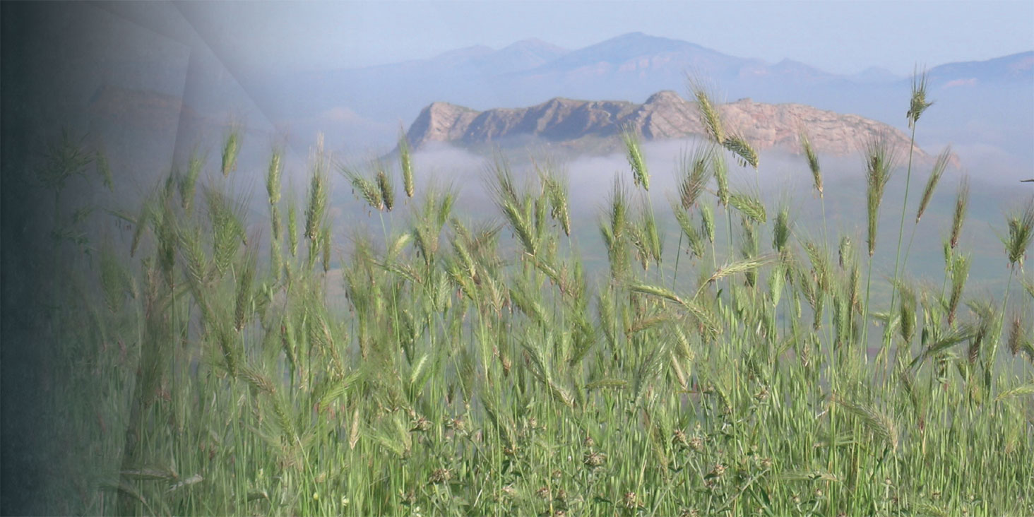 Φιλία καὶ εὔνοια - Un’università, un territorio, una comunità