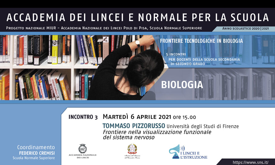 Image for III Incontro del corso "Biologia"