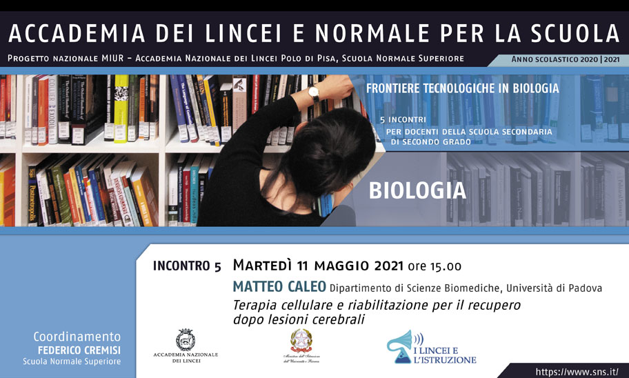 Image for V incontro del corso di Biologia