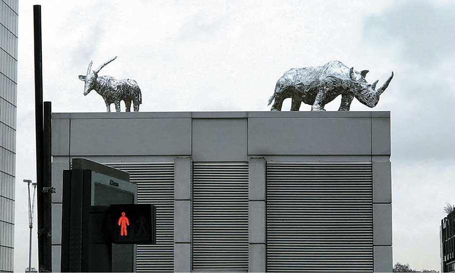 Image for BLIND SPOTS