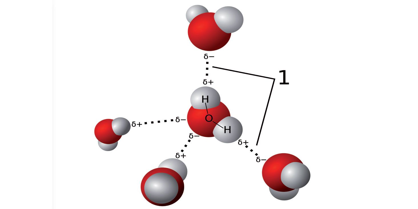 L’acqua e il legame a idrogeno - Dalle interazioni intermolecolari alla chiralità