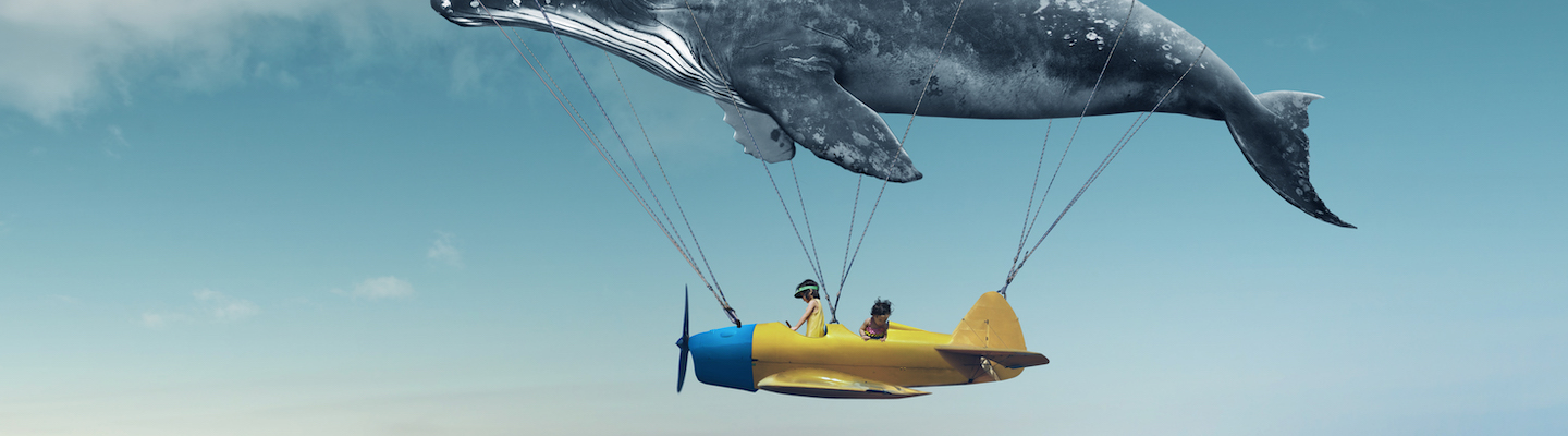 immagine onirica simbolica di scoperta: balena in cielo che porta un aereo