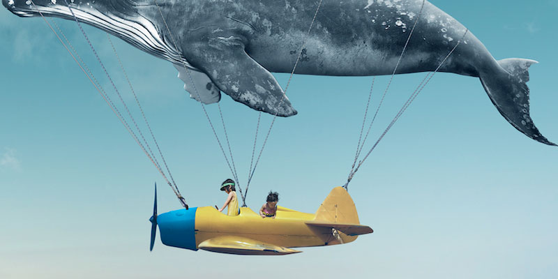 115° Corso di orientamento