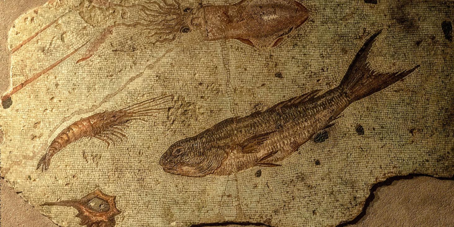 Tre secoli di poesia zoologica greca da Archestrato a Nicandro