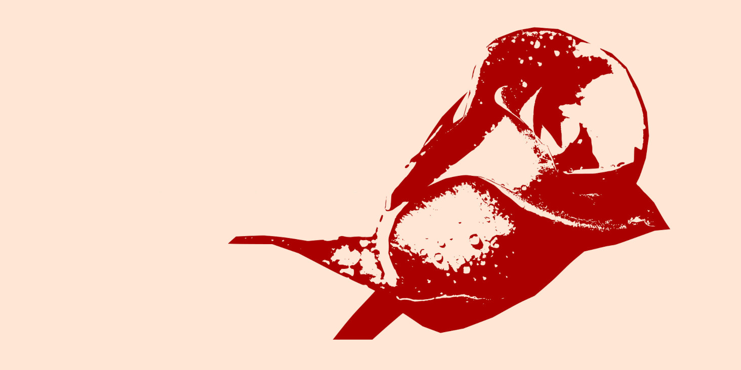 Democratic planning and labour alliances beyond growth