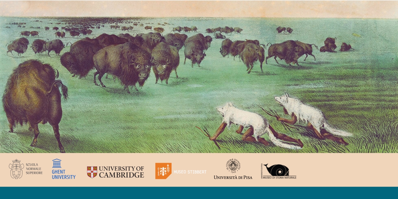 New Perspectives on Animal Camouflage and Human Image-Making