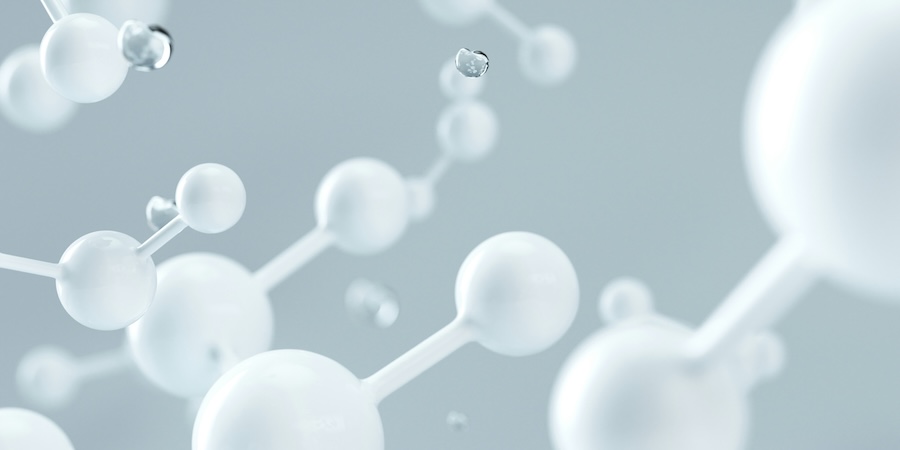 Addressing key issues of software engineering for molecular medicine