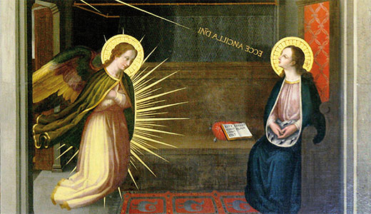 Image for Sources and functions of speech variation. Disentangling the role of biological and social factors