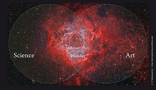 Image for ARTE E SCIENZA