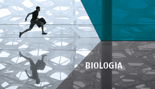 Image for VI incontro del Corso "Biologia del cancro"