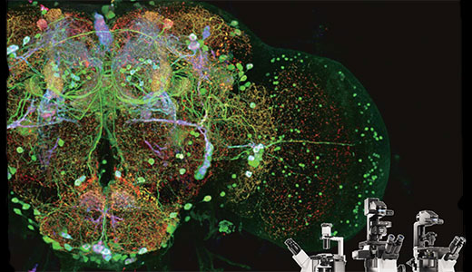 Image for IX3 MYcroscopy Platform