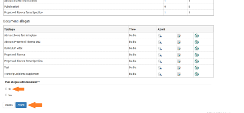 Immagine selezione allegati alla candidatura