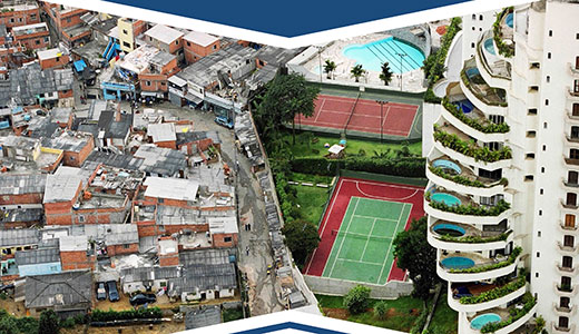 Image for THE POLITICAL CONSEQUENCES OF INEQUALITY