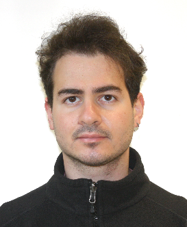 Image for Lorenzo Moscardini