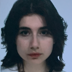 Image for Ada Romani