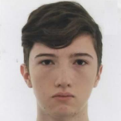 Image for Pietro Frasson