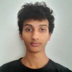 Image for Giuliano Gatto