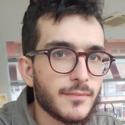 Image for Fabio Locci