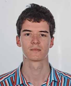 Image for Pietro Bottacini