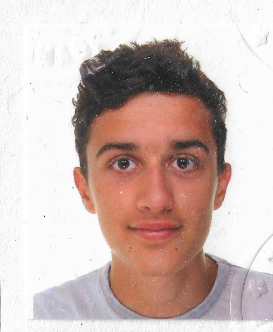 Image for Ludovico Lenzuni