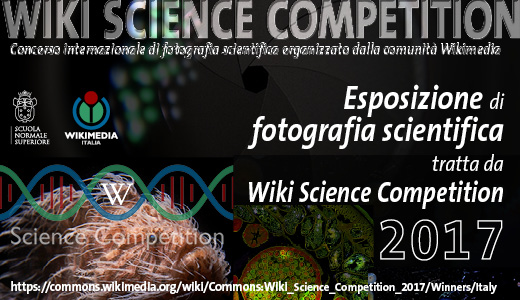 Image for WIKI SCIENCE COMPETITION
